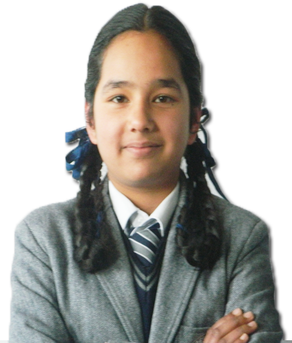 Shimla Presidency School